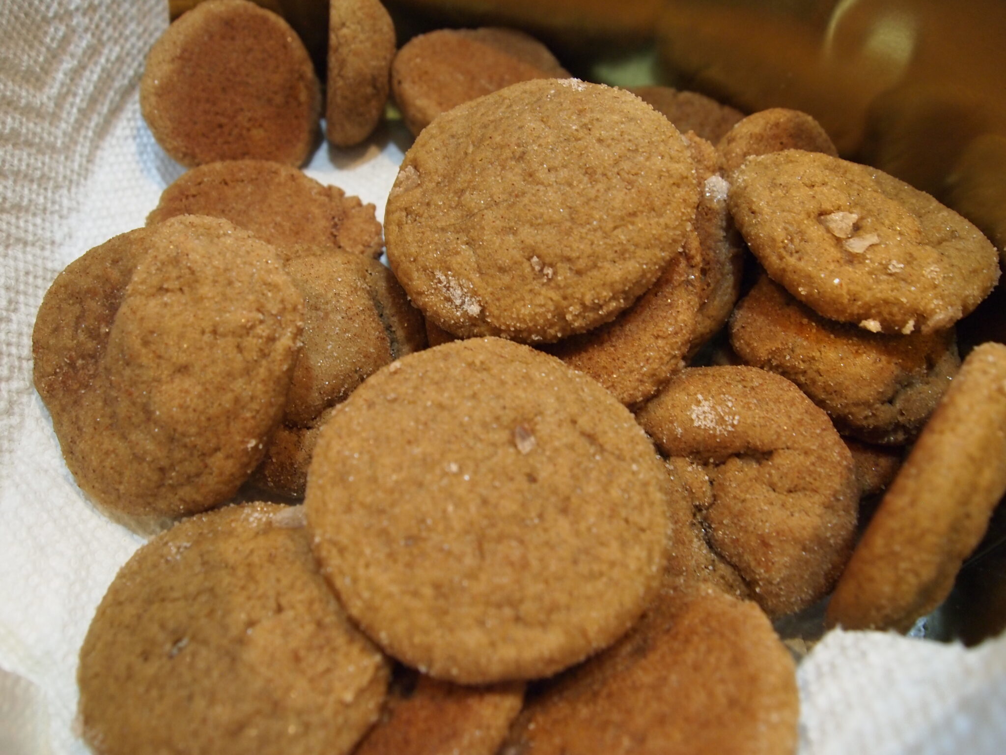 Ginger Snap Cookies Recipe Marty Davey, RD